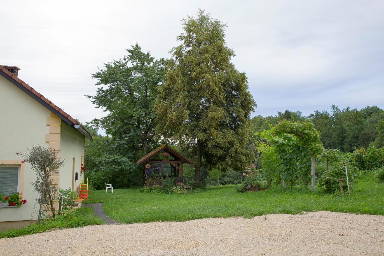 Domacija Vesel Villa Trebnje Ngoại thất bức ảnh